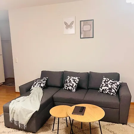 Spacious Retreat With Private Sauna Apartment